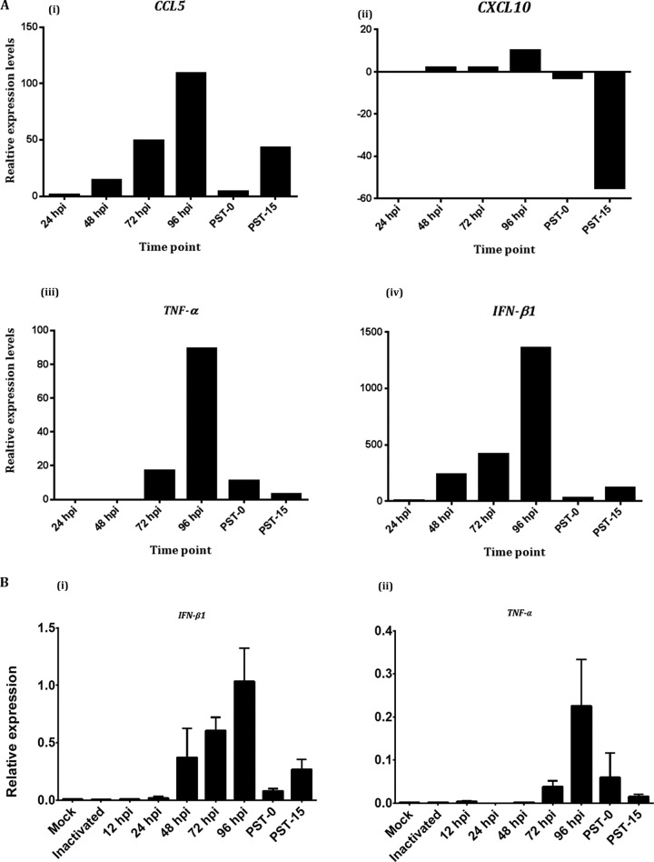 FIG 3 