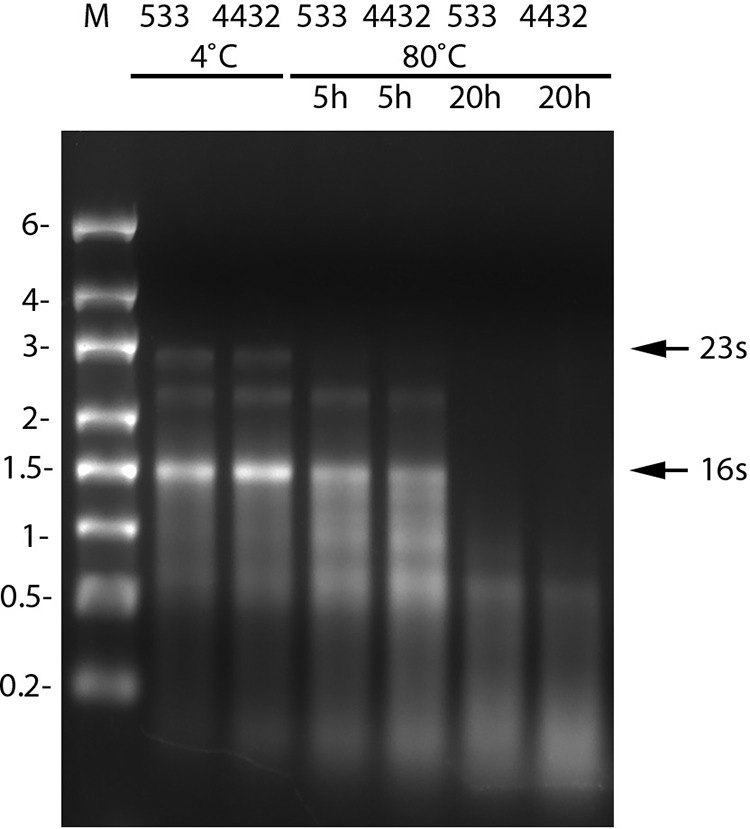 FIG 3