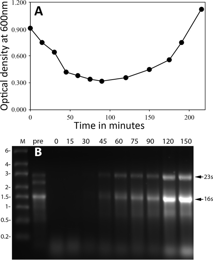 FIG 9