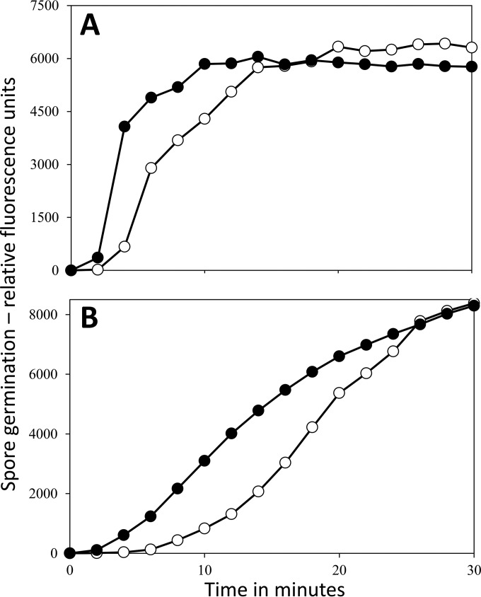 FIG 5