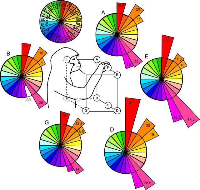 Figure 9.