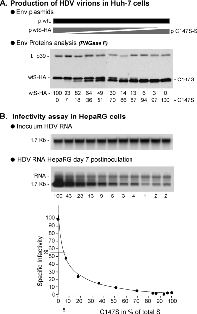 FIG. 7.