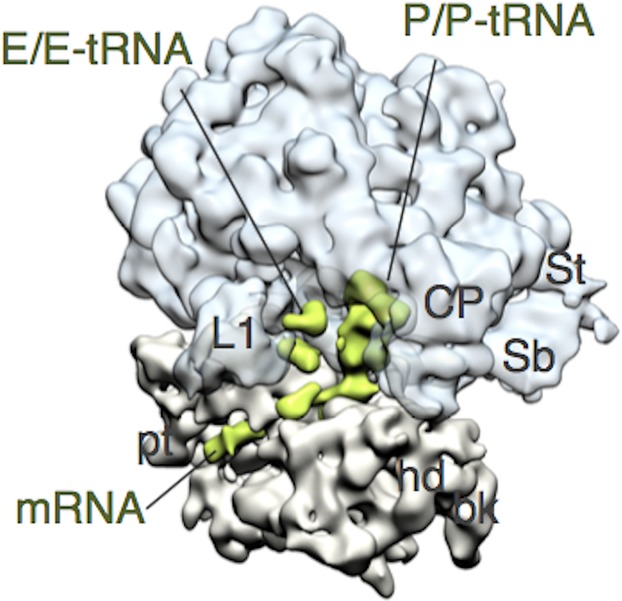 Fig 2