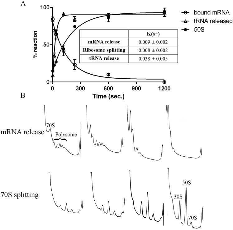 Fig 8