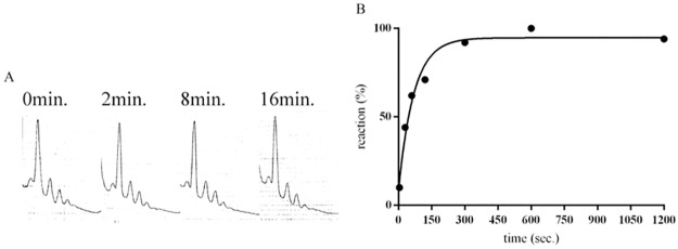 Fig 10