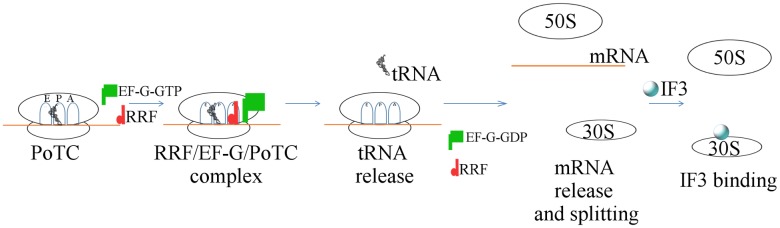 Fig 11