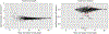 Extended Data Figure 9: