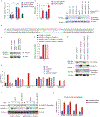 Extended Data Figure 12: