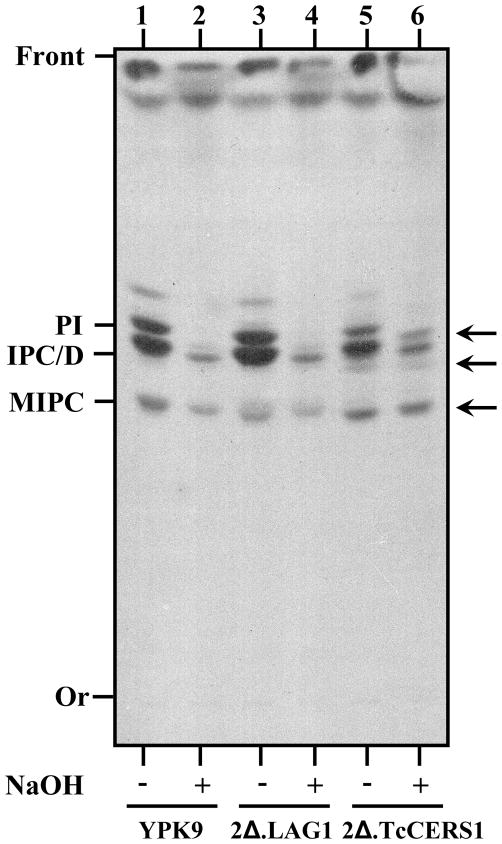 Fig. 8