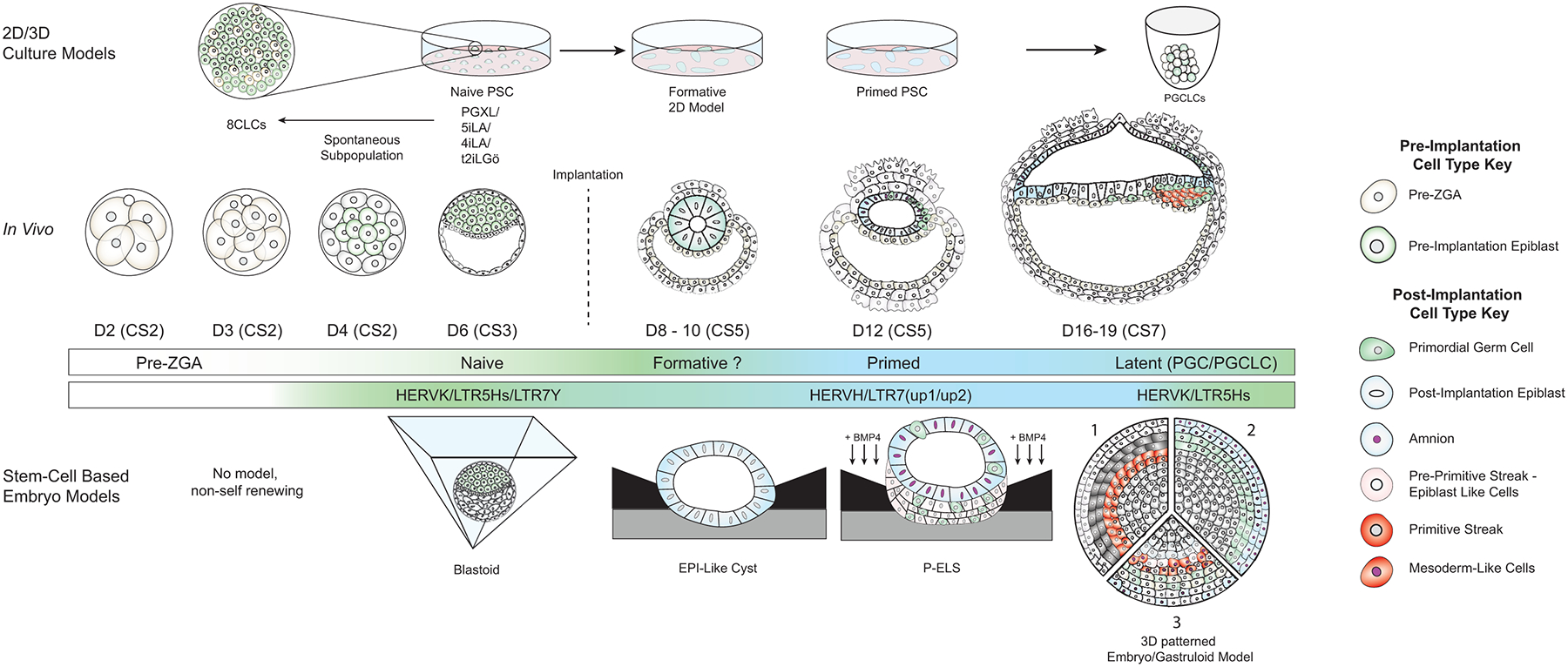 Figure 2: