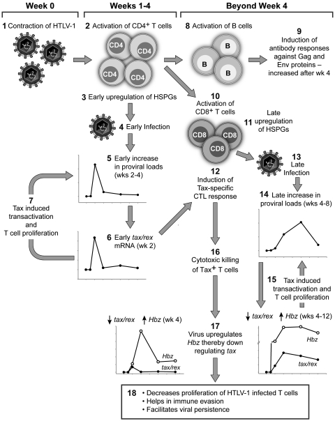 Fig 5