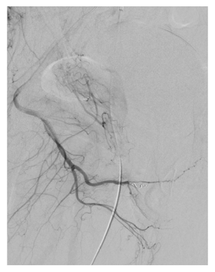 Figure 7