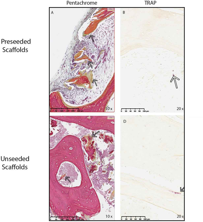 Figure 10.