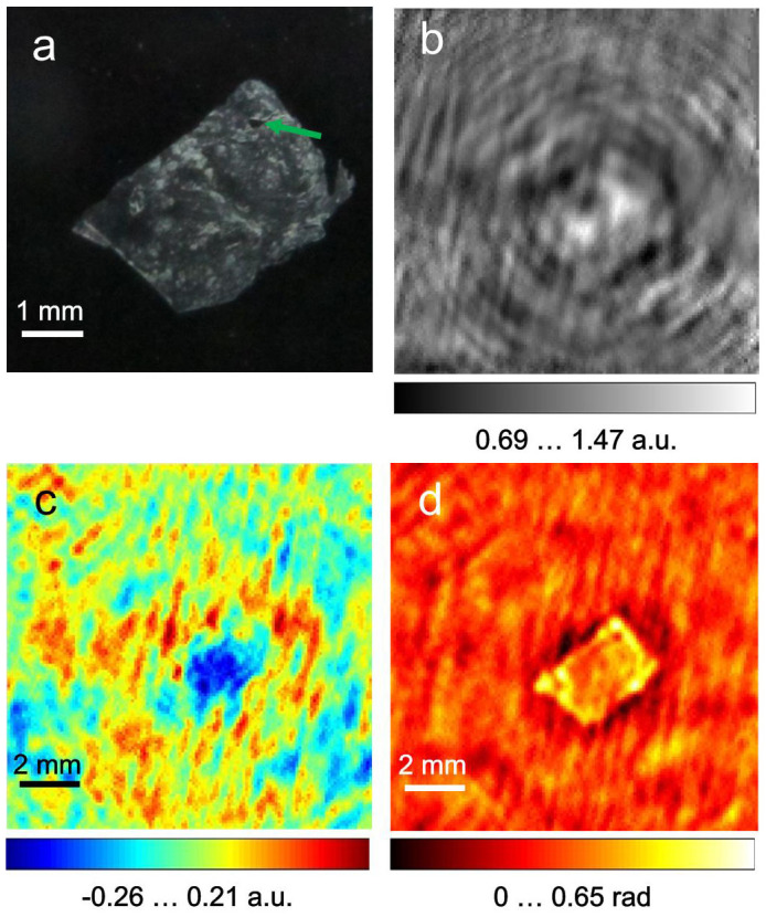 Figure 3