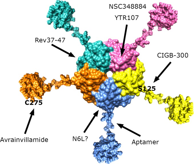 Figure 3