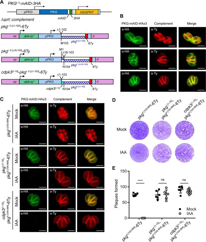 FIG 6 