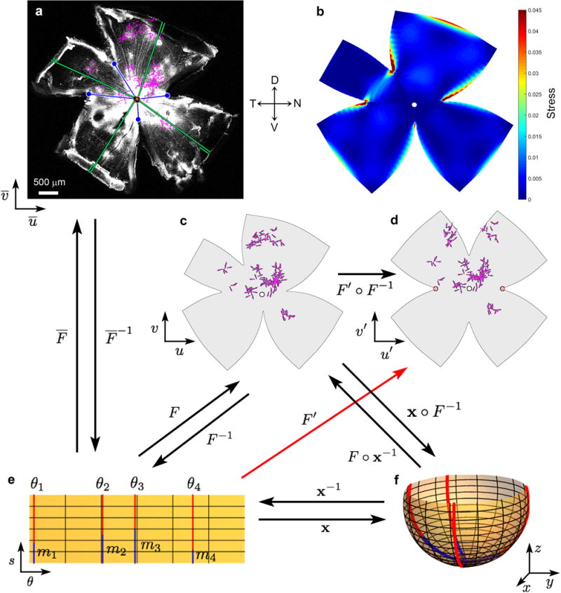 Extended Data Figure 3