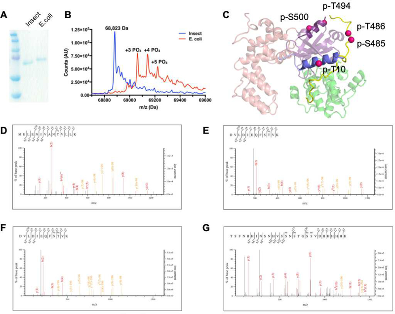 Figure 3: