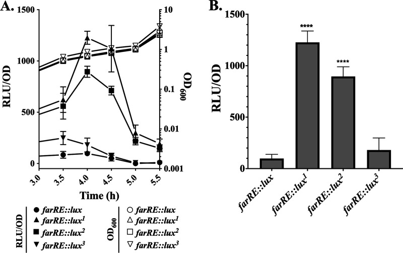 FIG 6