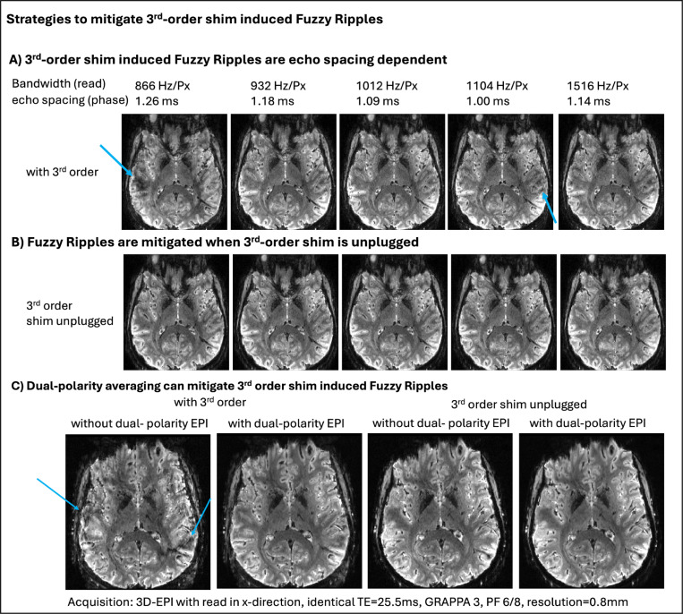 Fig 6: