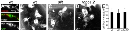 Fig. 3.