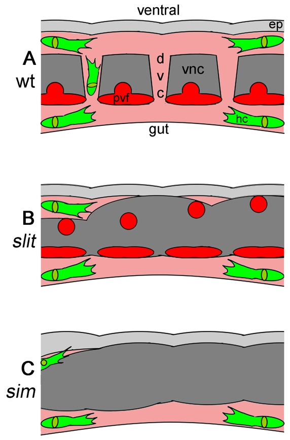 Fig. 8.