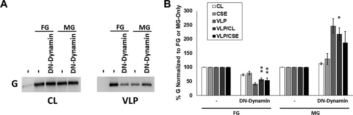 FIG 6