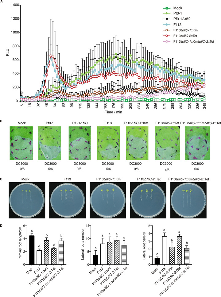 FIG 3