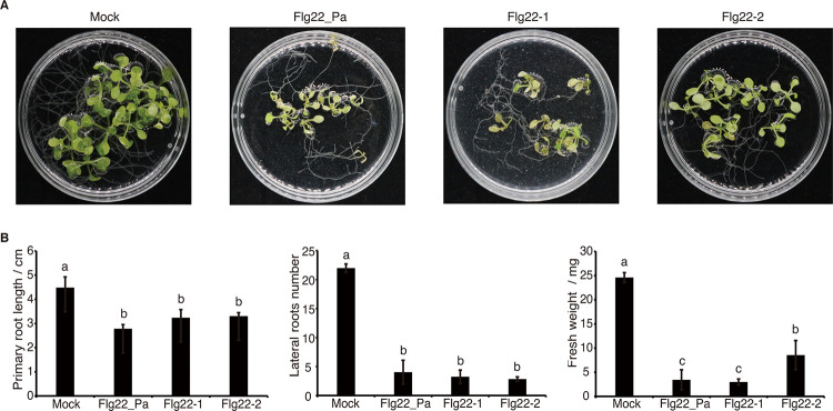 FIG 6