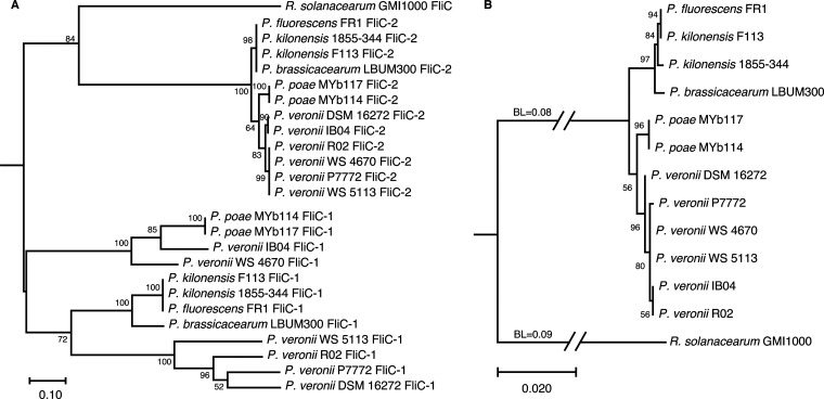 FIG 1