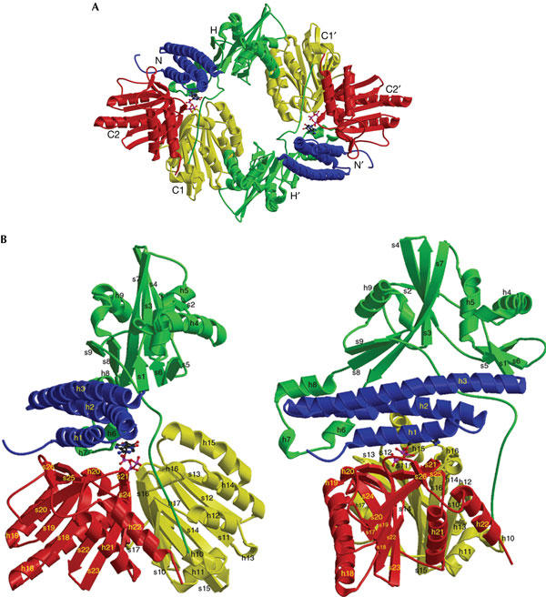 Figure 2