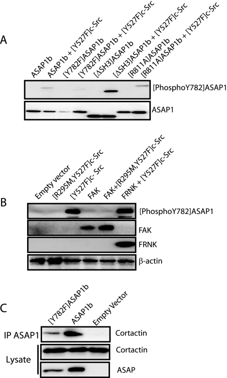 FIG. 12.