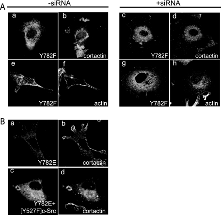 FIG. 11.