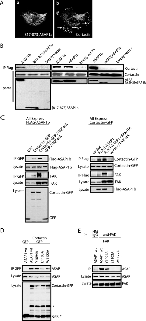 FIG. 8.