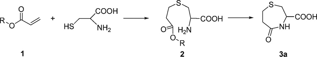 Scheme 1