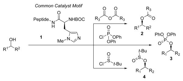 Scheme 2