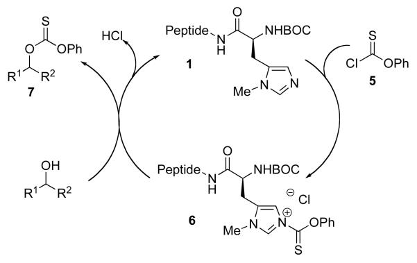 Scheme 3