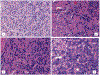 Figure 11.