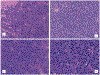 Figure 12.