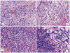 Figure 10.