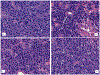 Figure 13.