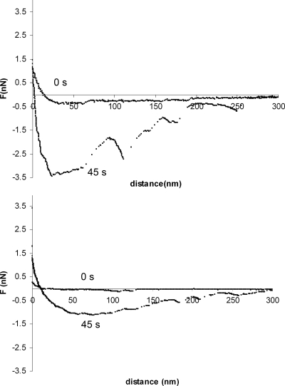 FIG. 2.