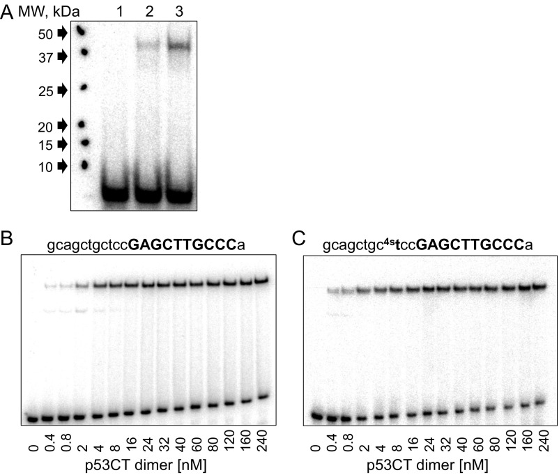 Fig. S6.