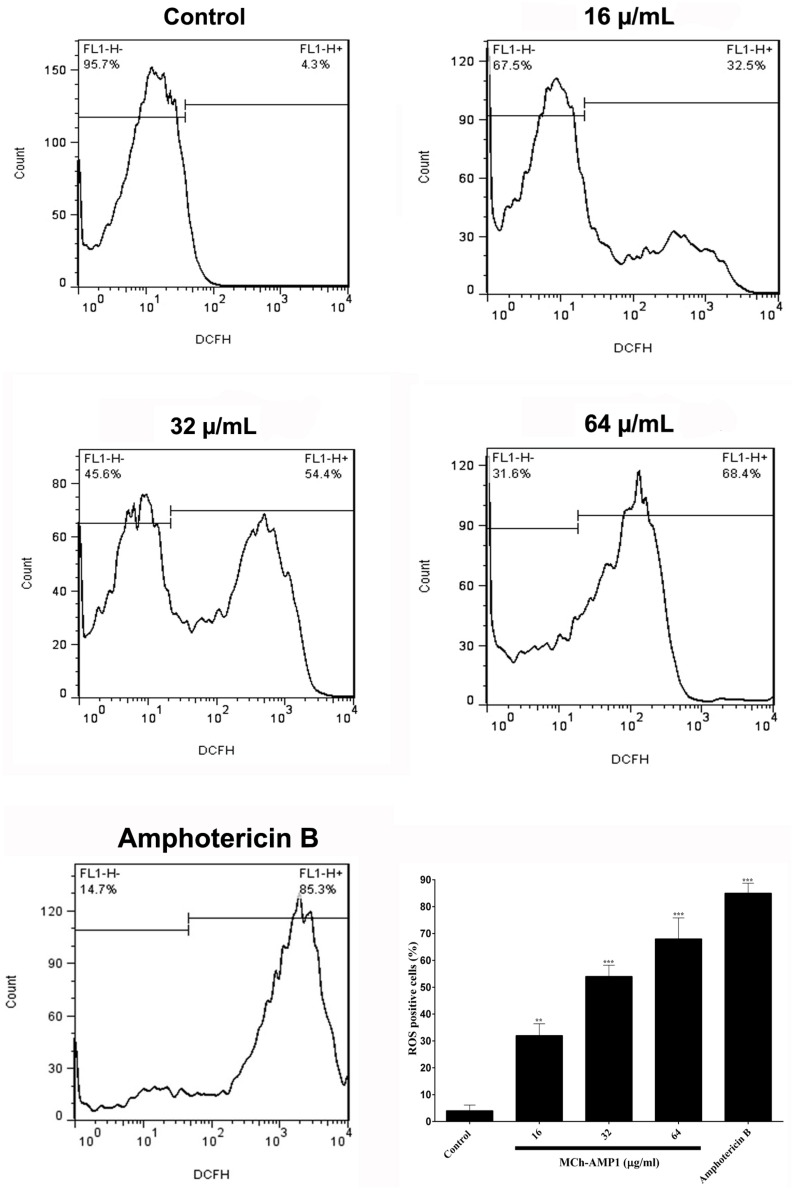 FIGURE 4