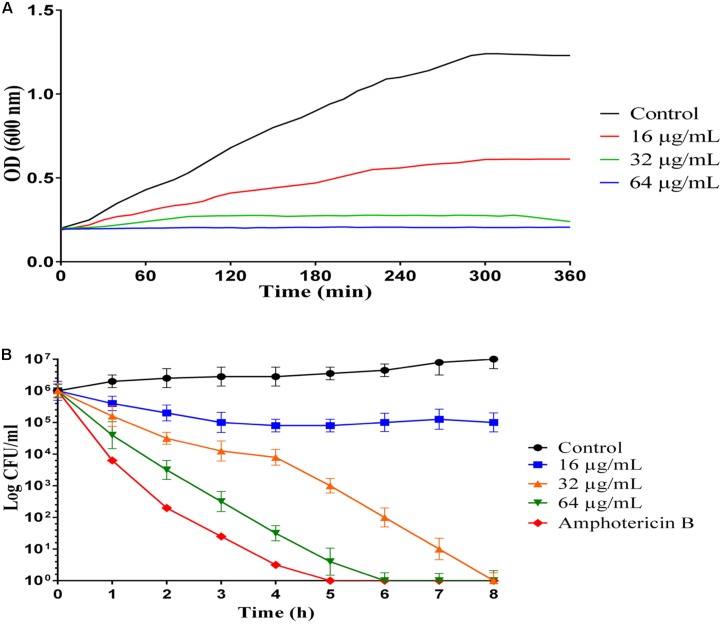 FIGURE 1