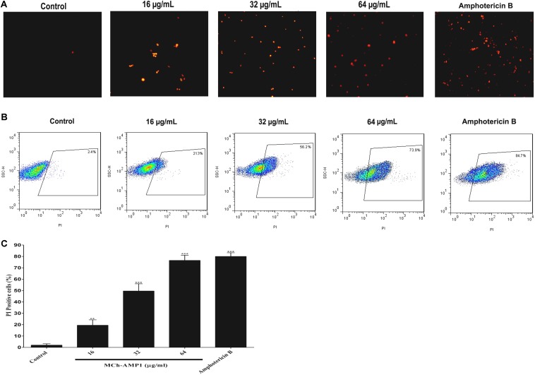 FIGURE 2