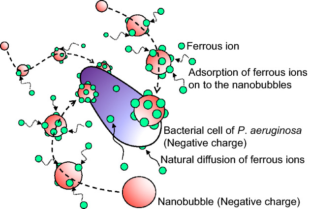 Figure 9