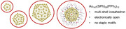 graphic file with name ANIE-64-e202500586-g002.jpg