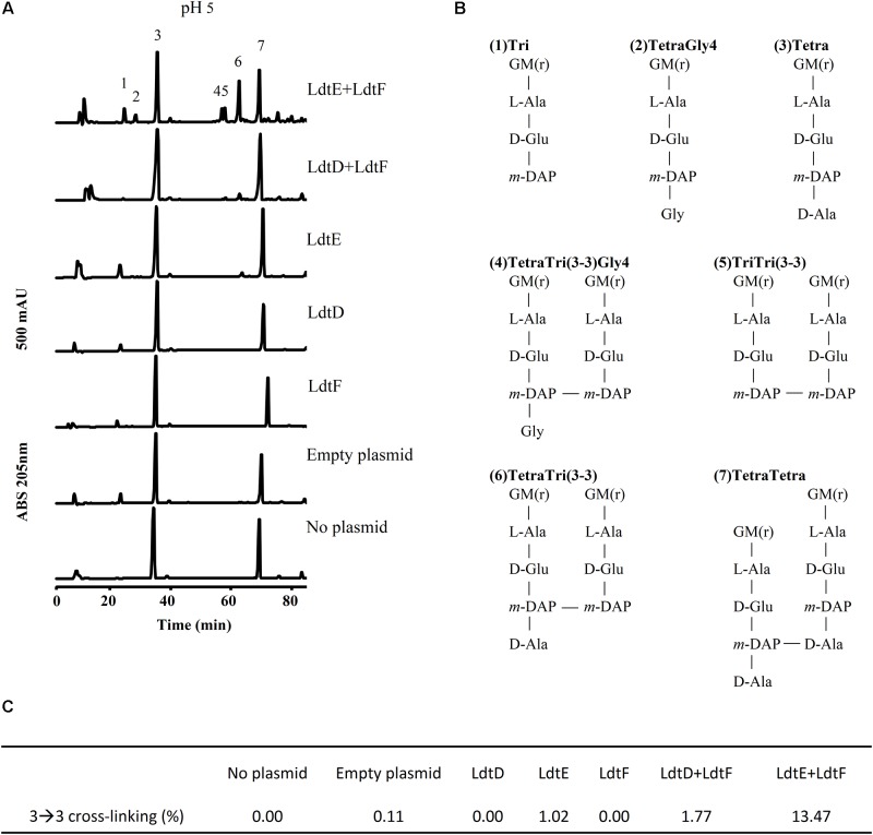 FIGURE 3