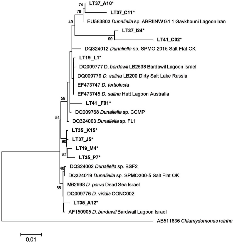 Figure 7